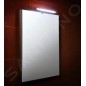 Jika Clear - Miroir 550x810 mm H4557111731441