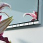 Keuco Edition 400 - Miroir chauffant avec éclairage DALI-LED, 535x650 mm 11596171004 Keuco Edition 400 - Miroir chauffant avec éclairage DALI-LED, 535x650 mm 11596171004
