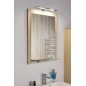 Sapho Miroirs - Miroir dans un cadre, 600x800 mm, chêne argenté NX608-1111 Sapho Miroirs - Miroir dans un cadre, 600x800 mm, chêne argenté NX608-1111