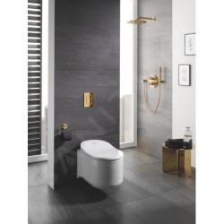 Grohe Rainshower Cosmopolitan - Douche de tête Cosmopolitan 310 avec bras de 380 mm, 1 jet, Cool Sunrise 26066GL0