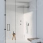 Steinberg 390 - Douche de tête, 600x250 mm, 2 jets, inox 390 5662