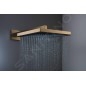 Hansgrohe Pulsify E - Douche de tête, 26x26 cm, EcoSmart+, bronze brossé 24333140