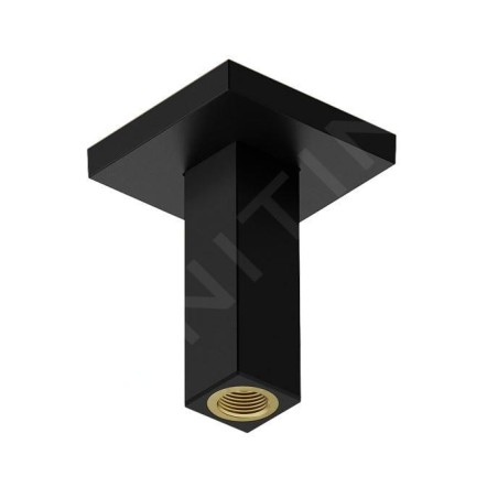 Hansgrohe Accessoires - Bras de douche de plafond, 11 mm, noir mat 24338670