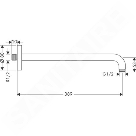 Hansgrohe Aktiva - Bras de douche 389 mm, or poli 27413990