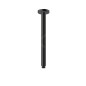 Hansgrohe Vernis Blend - Bras de douche plafond 300 mm, noir mat 27805670