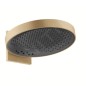 Hansgrohe Rainfinity - Douche de tête 360 avec raccord mural, 3jet, bronze brossé 26234140