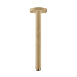 Hansgrohe Accessoires - Arrivée depuis le plafond S 300 mm, bronze brossé 27389140