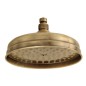 Sapho Antea - Douche de tête, diamètre 200 mm, bronze SOF2006