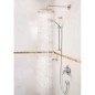 Hansgrohe Raindance Classic - Douche de tête 270 Air, 1 jet, bras de 390 mm, design chrome / doré 27424090