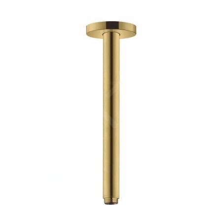 Hansgrohe Accessoires - Arrivée depuis le plafond S 300 mm, aspect d'or poli 27389990