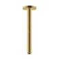 Hansgrohe Accessoires - Arrivée depuis le plafond S 300 mm, aspect d'or poli 27389990
