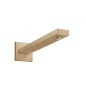 Hansgrohe Accessoires - Bras de douche 389 mm, bronze brossé 27694140